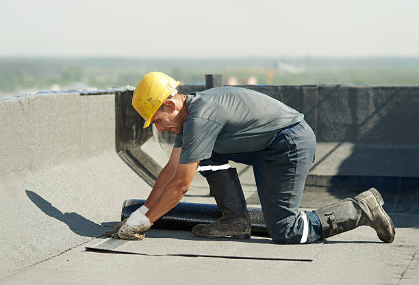 Best Insulation Installation Services in Palm Beach Gardens, FL